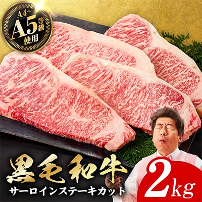A5/A4等級黒毛和牛サーロインステーキカット合計2kg(250g×8p)極味付け肉 G3643-1