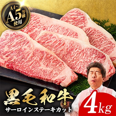 A5/A4等級黒毛和牛サーロインステーキカット合計4kg(250g×16P)極味付肉 G3644-1