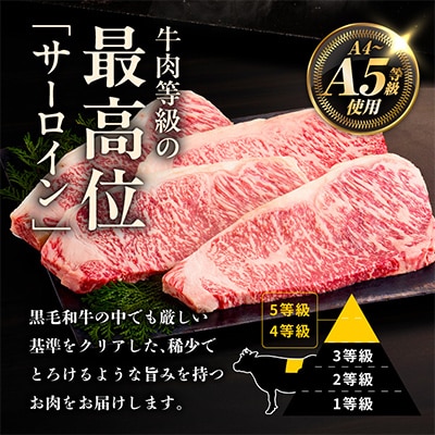 A5/A4等級黒毛和牛サーロインステーキカット合計4kg(250g×16P)極味付肉 G3644-1