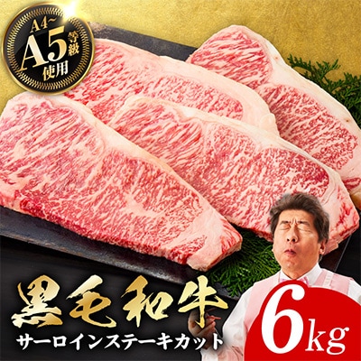 A5/A4等級黒毛和牛サーロインステーキカット合計6kg(250g×24p)極味付肉 G3645-1