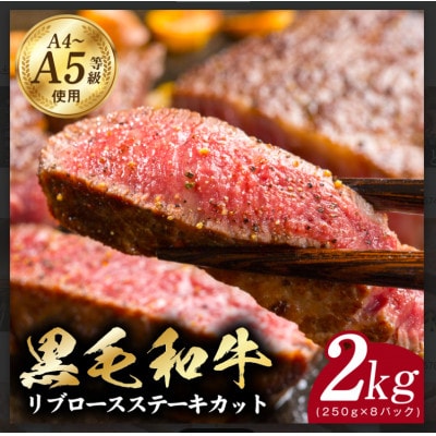 A5/A4等級黒毛和牛リブロースステーキカット合計2kg(250g×8p)極み味付肉 CFX0065