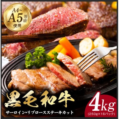 A5/A4等級黒毛和牛サーロイン/リブロースステーキカット合計4kg極み味付け肉 CFX0069