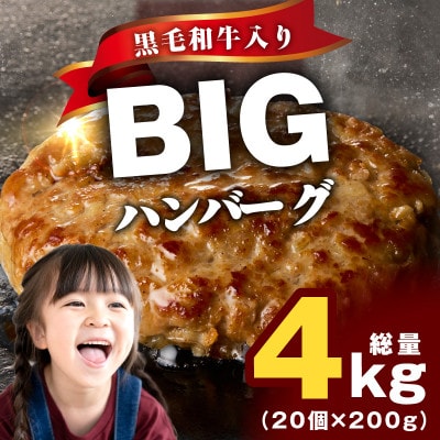 黒毛和牛入り BIGハンバーグ 200g×20個 CFX0024