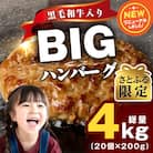 【さとふる限定】BIGハンバーグ 200g×20個 黒毛和牛入り CFX0024