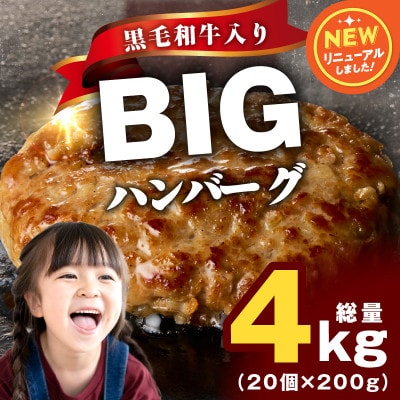 黒毛和牛入り BIGハンバーグ 200g×20個 CFX0024