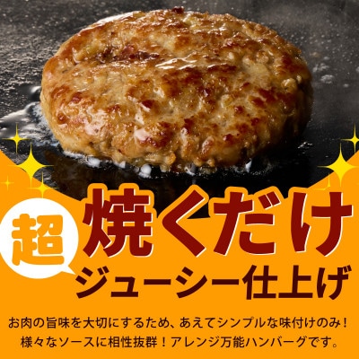 黒毛和牛入り BIGハンバーグ 200g×20個 CFX0024