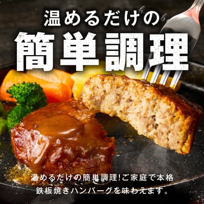 【泉の社】鉄板焼き ハンバーグ 140g×20個 デミグラスソース CFX0003