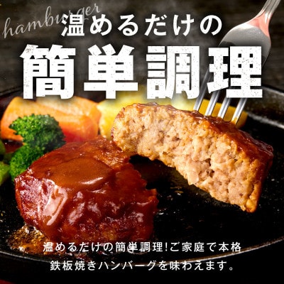 【泉の社】鉄板焼き ハンバーグ 140g×20個 デミグラスソース G3623