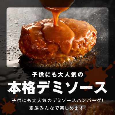 【泉の社】鉄板焼き ハンバーグ 140g×20個 デミグラスソース CFX0003