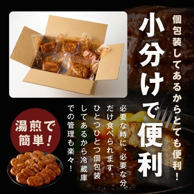 【泉の社】鉄板焼き ハンバーグ 140g×20個 デミグラスソース G3623