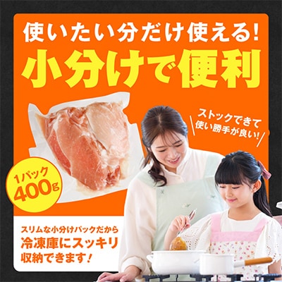 【さとふる限定】ハンバーグ2個付き!豚肉 切り落とし 2.4kg 味付け肉