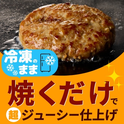 BIGハンバーグ 200g×10個 黒毛和牛入り CFX0081