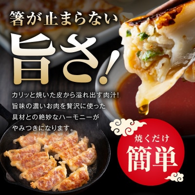 特製シン餃子 150個 小分け 25個×6P 焼くだけ 簡単調理 CFX0083