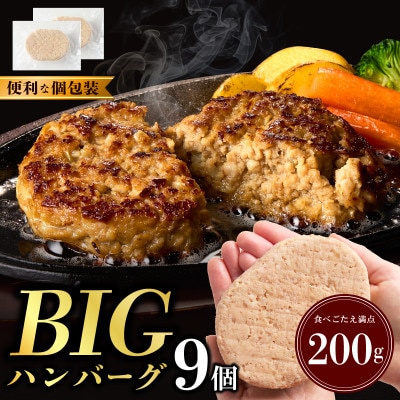 【さとふる限定】わくわく肉福袋(BIGハンバーグ&牛串カツ)CFX0084