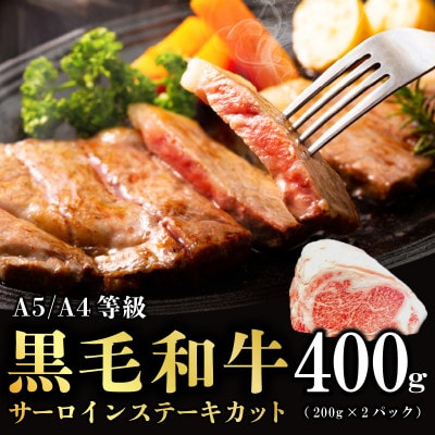 【さとふる限定】まんぷく肉福袋(黒毛和牛サーロインステーキ&国産鶏もも&チャーシュー)CFX0086