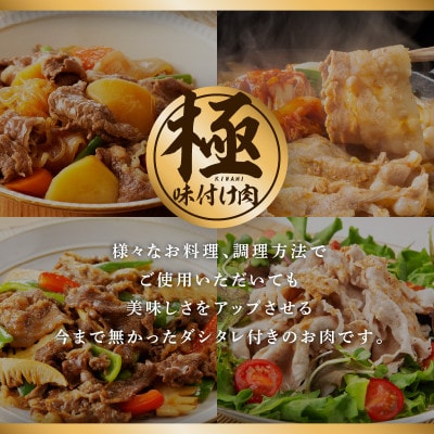 黒毛和牛A5/A4等級 切り落とし 焼肉セット 600g(サーロイン)G3700