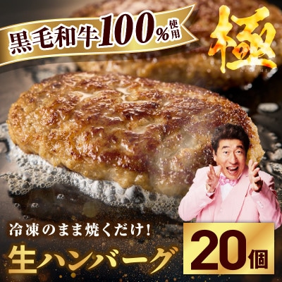 黒毛和牛100% 極み生ハンバーグ(180g)×20個+サーロインステーキ 250g G3631-1