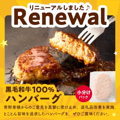 黒毛和牛100% 極み生ハンバーグ(180g)×20個+サーロインステーキ 250g G3631-1