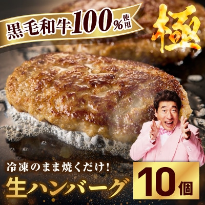 黒毛和牛100% 極み生ハンバーグ(180g)×10個+サーロインステーキ 250g G3630-1