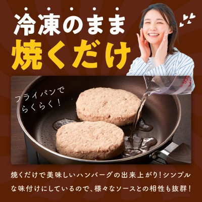 黒毛和牛100% 極み生ハンバーグ(180g)×10個+サーロインステーキ 250g G3630-1