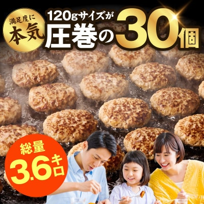 【圧巻の30個】肉の泉佐野 ハンバーグ 合計3.6kg 黒毛和牛×なにわポーク入り