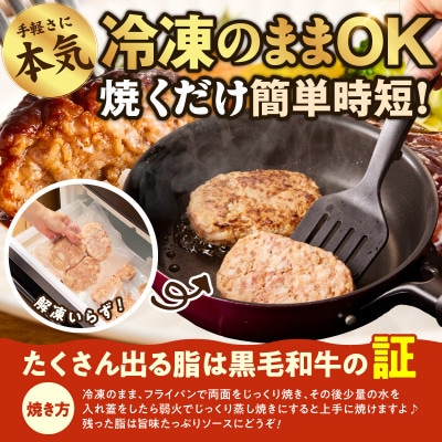 【圧巻の30個】肉の泉佐野 ハンバーグ 合計3.6kg 黒毛和牛×なにわポーク入り