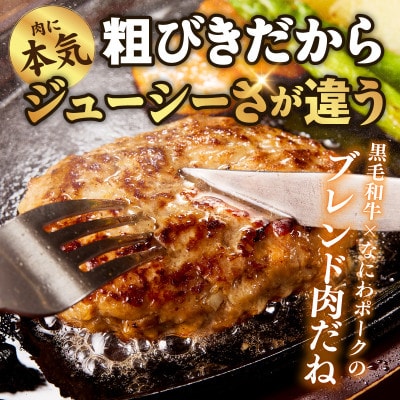 【圧巻の30個】肉の泉佐野 ハンバーグ 合計3.6kg 黒毛和牛×なにわポーク入り
