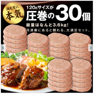 肉の泉佐野 ハンバーグ 30個(合計3.6kg)黒毛和牛×なにわポーク入り