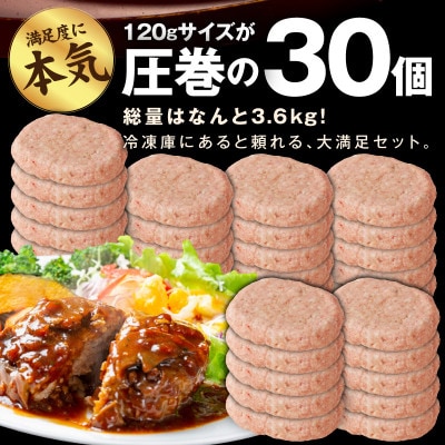 【圧巻の30個】肉の泉佐野 ハンバーグ 合計3.6kg 黒毛和牛×なにわポーク入り