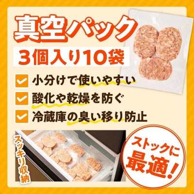 【圧巻の30個】肉の泉佐野 ハンバーグ 合計3.6kg 黒毛和牛×なにわポーク入り