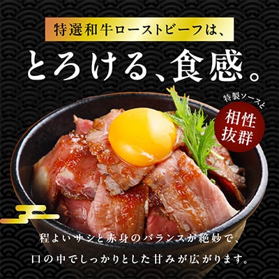 特選和牛ローストビーフ 300g 特製ソース付き 099H1703