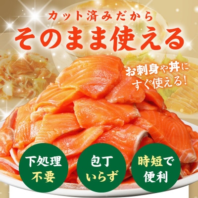 【さとふる限定】サーモン 900g 切り落とし 300g×3P