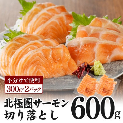 北極圏サーモン 切り落とし 600g(300g×2パック) 010B1256