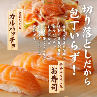 北極圏サーモン 切り落とし 600g(300g×2パック) 010B1256