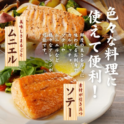北極圏サーモン ポーション 700g(350g×2パック)010B1329