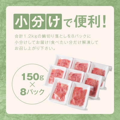 天然まぐろ 切り落とし 合計 1.2kg 小分け 150g×8パック 010B1297