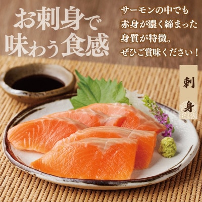 トラウト サーモン 切り落とし 700g(350g×2)訳あり サイズ不揃い 099H2371