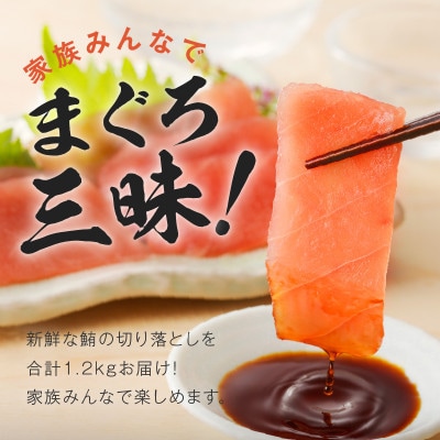 天然まぐろ 切り落とし 合計 1.2kg 小分け 150g×8パック 099H2461