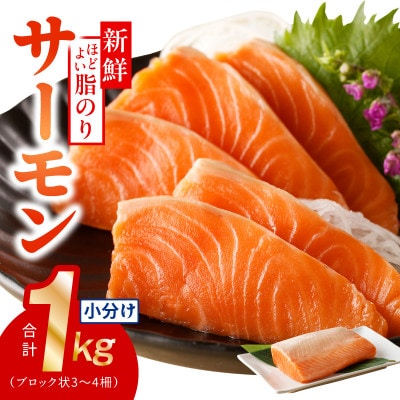 サーモン 1kg ポーション 小分け 刺身用 010B1719