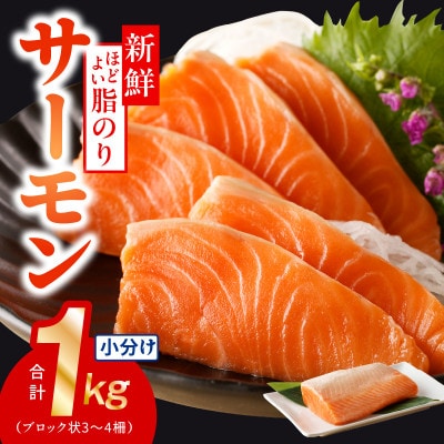 サーモン 1kg ポーション 小分け 刺身用