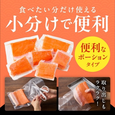 サーモン 1kg ポーション 小分け 刺身用 010B1719a