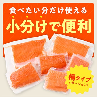サーモン 1kg ポーション 小分け 刺身用