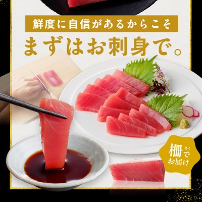 キハダマグロ 合計 1kg 柵 5-7本 冷凍まぐろ 訳あり サイズ不揃い 015B291
