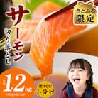 【さとふる限定】サーモン 切り落とし 1.2kg 小分け 150g×8P 訳あり 015B392