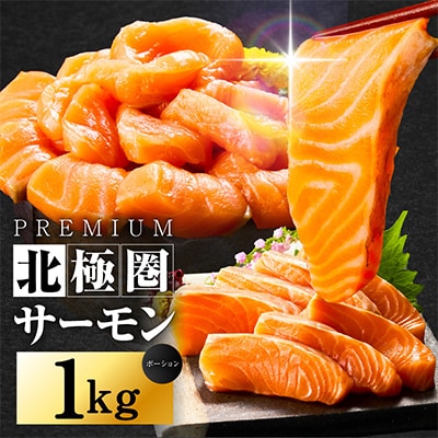 高級ブランド 北極圏サーモン ポーション 1kg
