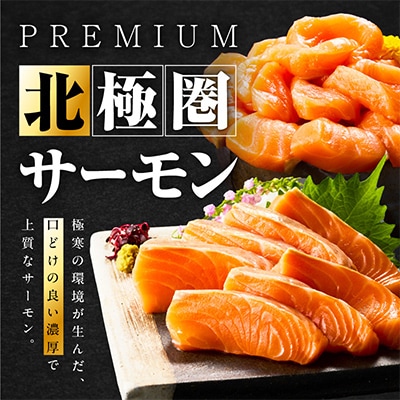 高級ブランド 北極圏サーモン ポーション 1kg