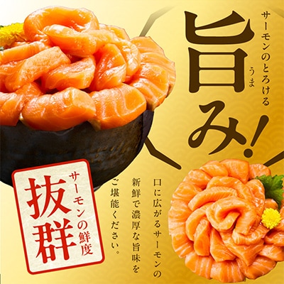 高級ブランド 北極圏サーモン ポーション 1kg