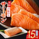 サーモンポーション刺身用 1.5kg(小分け)【訳あり・サイズ不揃い】 015B499