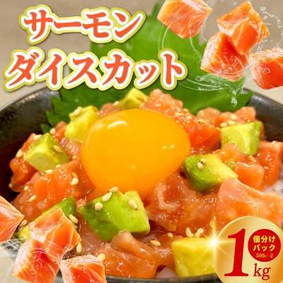サーモン ダイスカット 合計1kg 【海鮮丼・小分け】 015B617