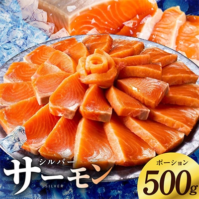 【訳あり】サーモン 500g ポーション お試し サイズ不揃い